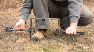 Fur Trapping  How to set a Conibear Trap [upl. by Zwiebel]