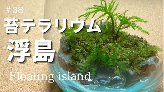 【moss terrarium】レジンの海に浮かぶ島をレイアウト–苔テラリウムの作り方（Layout the island floating in the resin sea） [upl. by Valonia346]