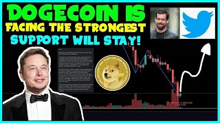 URGENT NEWS FOR ALL DOGECOIN INVESTORS FAST 🚨 Elon Musk amp Tesla 🚀DOGECOIN XPaymets amp Outflow [upl. by Querida975]