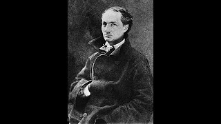 Le Spleen de Paris Charles Baudelaire Lecture intégrale [upl. by Ajnat]