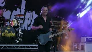 Grip amp White Stallion  The Stranglers  Guilfest 29th June 2024 [upl. by Forbes85]