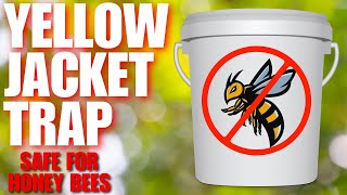 How To Trap Thousands Of Yellow Jackets In Just A Few Hours  Quick DIY Setup [upl. by Llehsram44]