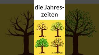 Deutsch lernen  die Jahreszeiten  seasons in German  A1 shorts  Wortschatz  learn German [upl. by February210]