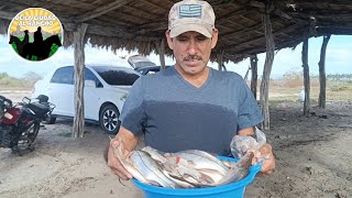 pesca y cocina con Chinchorro nos fue muy bien fishing pesca ranchos aventura [upl. by Ashli]