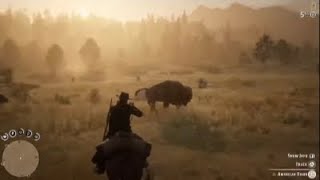 hunting in rdr2 online rdr2 reddeadredemtion2 [upl. by Kroll]