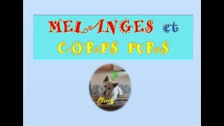 Mélanges et corps purs [upl. by Mccullough]