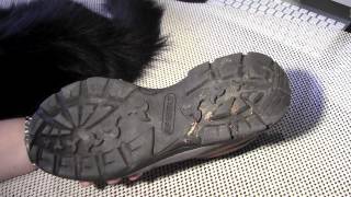 Wild Boar Mocassins from Duluth Trading Co [upl. by Nyraa598]