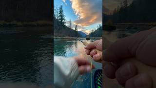 Fly fishing a secret river shortvideo flyfishing shorts flytech541 troutfishing [upl. by Winsor]