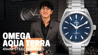 Omega Seamaster Aqua Terra 41mm Steel Watches Review  SwissWatchExpo [upl. by Mond971]