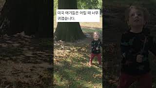 New York Central Park 뉴욕 한달살기 중인데요 아침에 센트럴파크 산책으로 하루를 [upl. by Dumah905]