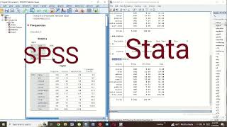 በ Stata Categorical Output አወጣጥ ከSPSS Categorical output quotምን ልዩ ያደርገዋል SPSSstatas [upl. by Boyt]