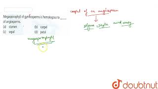 Megasporophyll of gymnosperms is homologous to  of angiosperms  11  PLANT KINGDOM  BI [upl. by Oinotna710]