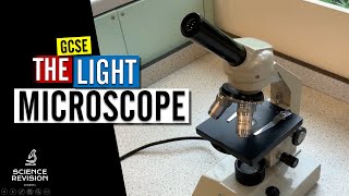 GCSE Science Biology 91  How to use a microscope  Microscopy Required Practical [upl. by Adnohsor]