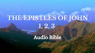 Epistles of John  Audio Bible [upl. by Eiboh]