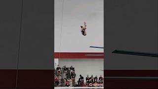 Sarah Bacons Remarkable 405B Dive  Big Ten 2022 Finals Highlights womensdiving shorts [upl. by Acinnor]