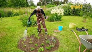 Beet für Bienenweide im Garten anlegen  Tipps zum Gießen [upl. by Eilah]