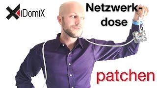 Netzwerkdose verkabeln anschließen patchen  4K  iDomiX [upl. by Assilat]