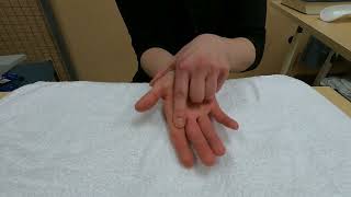 Hand injury exercise 5 Active isolated middle joint PIPJ bending and straightening [upl. by Einaeg]