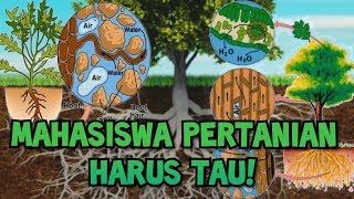 PROSES PENYERAPAN UNSUR HARA OLEH AKAR TANAMAN  Unsur Hara Makro dan Mikro  Nutrisi Tanaman [upl. by Sregor872]