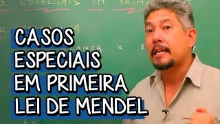 Casos Especiais em Primeira Lei de Mendel  Extensivo Biologia  Descomplica [upl. by Ynaitirb]