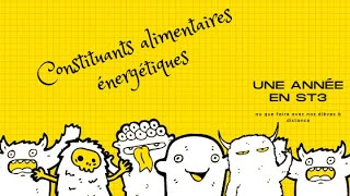 Les types d’aliments  Constituants alimentaires énergétiques [upl. by Rosmarin341]