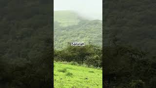 Salalah Oman in Khareef Season greenery waterfall mountains trending travel reels [upl. by Aicelef]