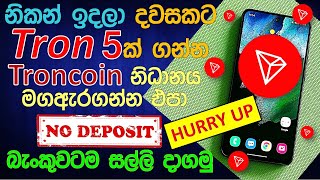 Free Tron coin earn  Tron trx  E money sinhala 2023  earn money online free  Succeed Pathway [upl. by Neema102]