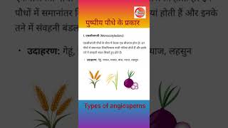 पुष्पीय पौधे के प्रकार 🌾  Types of angiosperm  scienceclass angiosperms floweringplant [upl. by Alvita191]