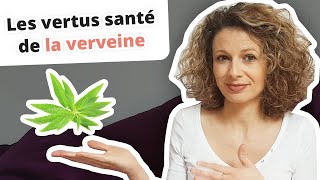 Les vertus santé de la verveine [upl. by Frick]