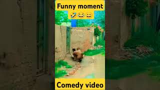 Man Slips at Door ampMechanics MachineFail shortsfeedyoutubeViralVideo FunnyMomentsTrendingNow [upl. by Milla266]