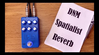 DNM Spatialist Reverb [upl. by Celeski228]