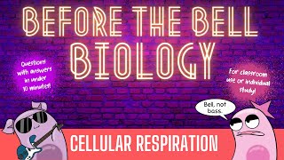 Cellular Respiration Before the Bell Biology [upl. by Lussier]