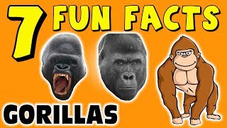 7 FUN FACTS ABOUT GORILLAS GORILLA FACTS FOR KIDS Learning Colors Apes LOL Funny Sock Puppet [upl. by Ahterod]