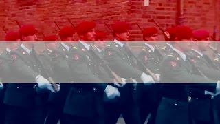 Het Wilhelmus Anthem of the Kingdom of the Netherlands Patriotic Version [upl. by Nairad957]