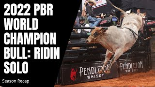 2022 PBR World Champion Bull Ridin Solo Top Highlights [upl. by Aitan458]