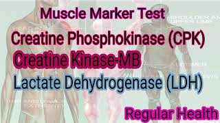 Muscle Marker Test muscular Marker Test CPK CK MB LDH Test [upl. by Pears]