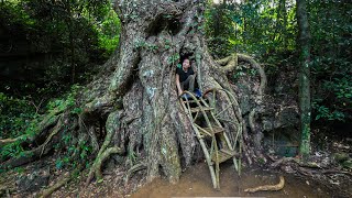 Emergency Shelter Under a Large Tree  Make a Bed Inside the Tree An vs Wild Part 1 [upl. by Notgnilliw]