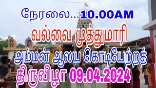 வல்வை முத்துமாரி அம்மன் கொடியேற்றத் திருவிழா 09042024 [upl. by Derr]