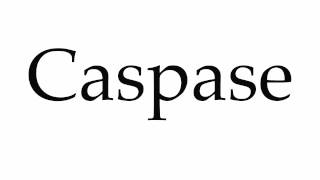 How to Pronounce Caspase [upl. by Prem]