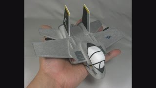 Petit F14 TOMCAT Cartoon RC plane flight on park [upl. by Leanahtan]