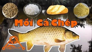 Cách Làm Mồi Câu Cá CHÉP Ao Sông Hồ Đơn Giản Hiệu Quả Nhất 𝓒â𝓾 𝓒á 𝓔𝓭𝓾 [upl. by Aileon]