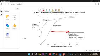 Myoglobin Oxygen dissociation curve [upl. by Adnolaj101]