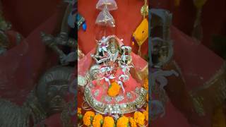 Navratri day 1  Mata Rani ka darbar  Navratri Puja durgapuja chowki navratri [upl. by Sylvia346]