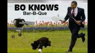 Obama Eats Dogs [upl. by Sherman]