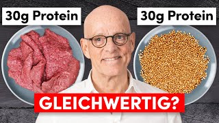 Pflanzliches Protein vs tierisches Protein Das sollten Sie wissen [upl. by Sualohcin]