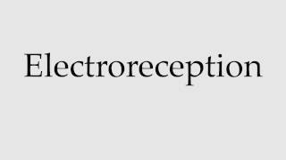 How to Pronounce Electroreception [upl. by Nodlew]