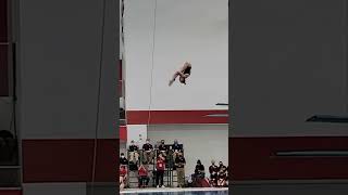 Sarah Bacons Stunning 205B Dive  Big Ten 2022 Finals Showcase shorts [upl. by Hilar756]