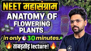 NEET महासंग्राम🔥 ANATOMY OF FLOWERING PLANTS  Neet 2024 [upl. by Idelia]