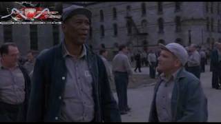 Skazani Na Shawshank The Shawshank Redemption 1994 Lektor PL DVDRip XviD AC3 6ch www VipTracker pl Group VipRipper Encoderby bin [upl. by Coh265]