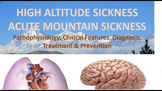 Altitude Sickness  Acute Mountain Sickness  High Altitude Pulmonary Edema  Respiratory Lecture9 [upl. by Biel]